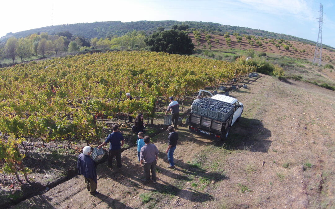 Terras de Cavaleiros Geopark