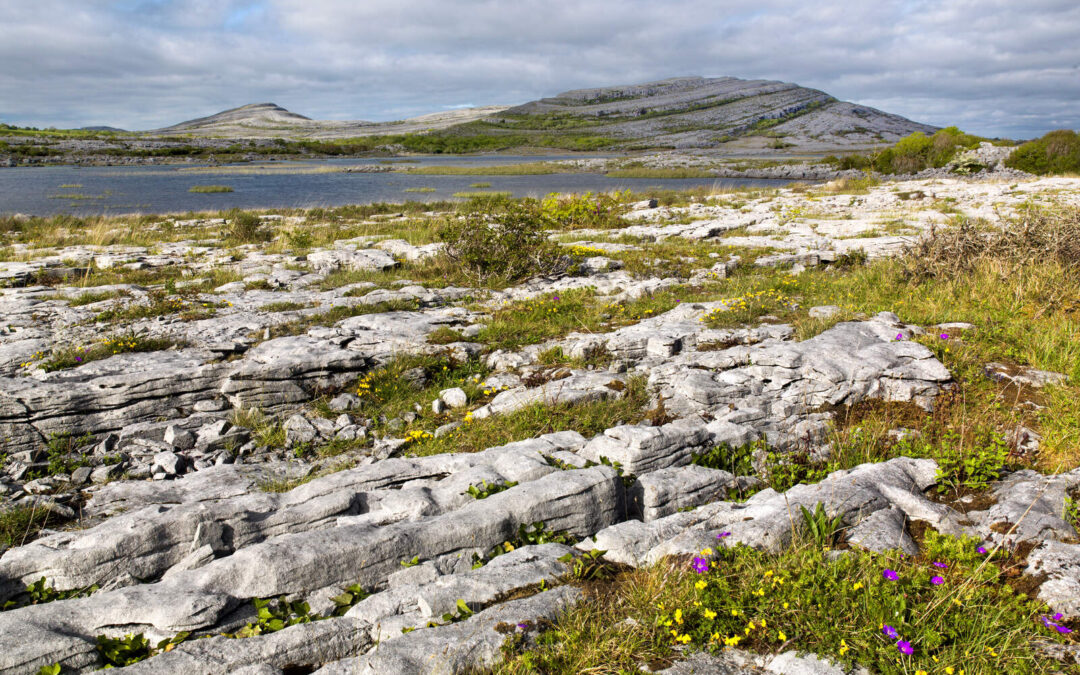 The Burren and Cliffs of Moher Geopark