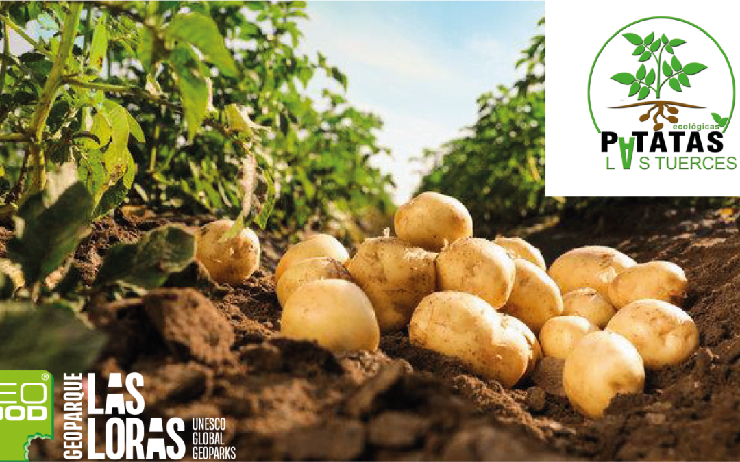 Patatas Ecológicas las Tuerces