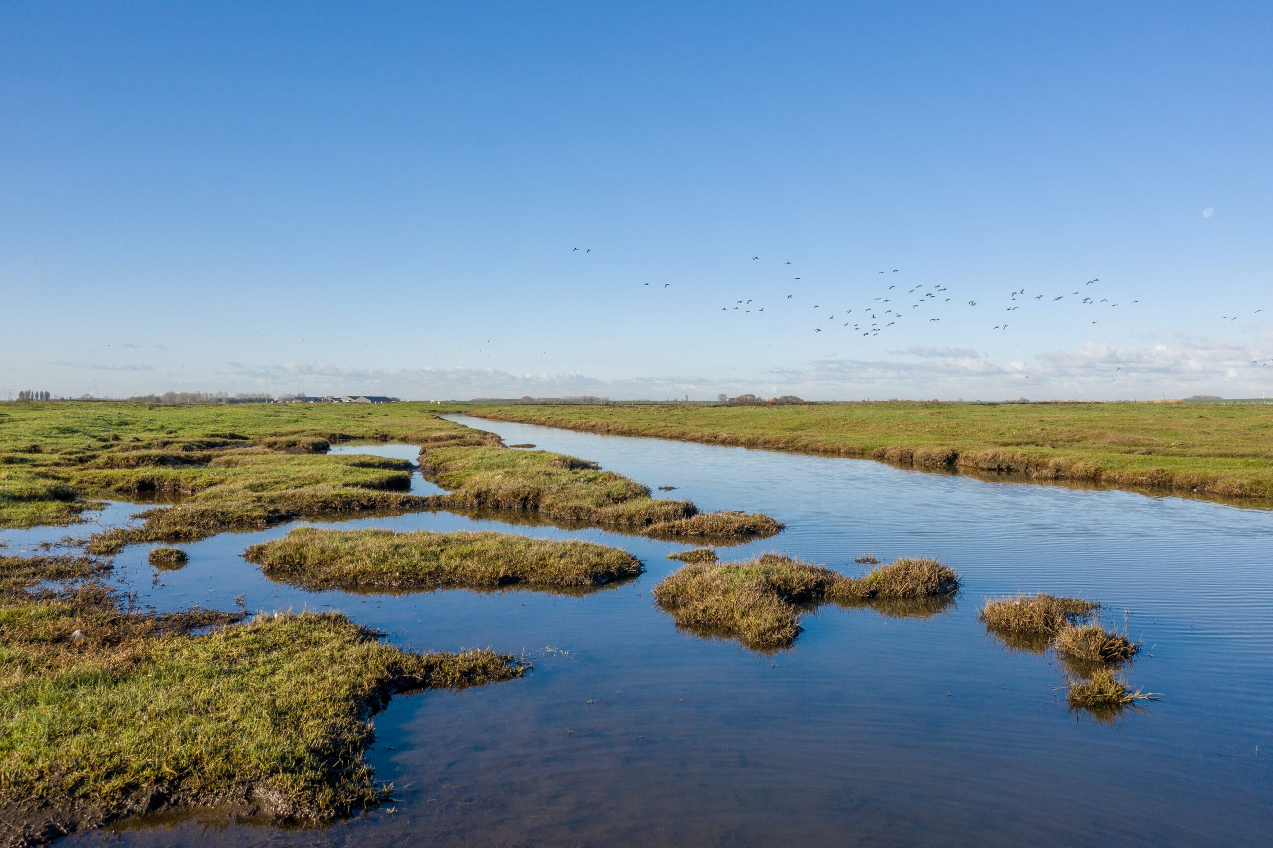 herfst 2020; Yerseke Moer;