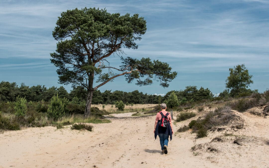 Schelde Delta UNESCO Global Geopark became GEOfood partner!